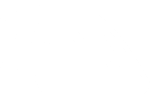 iorn1 iorn1